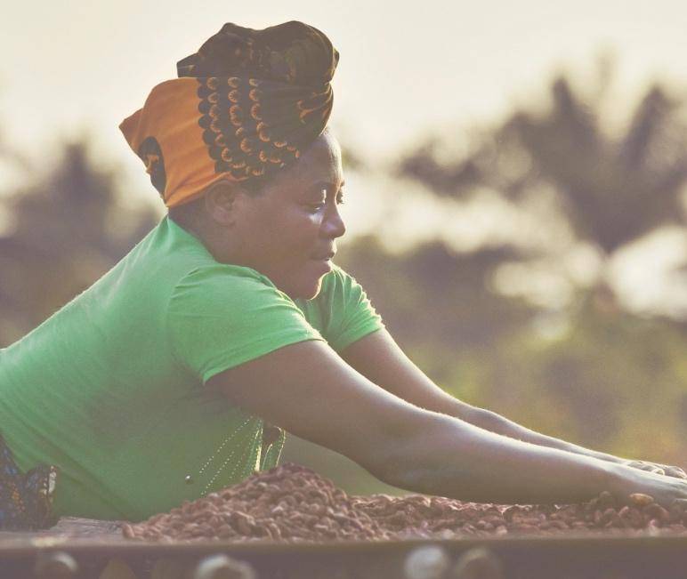 Cocoa Horizons