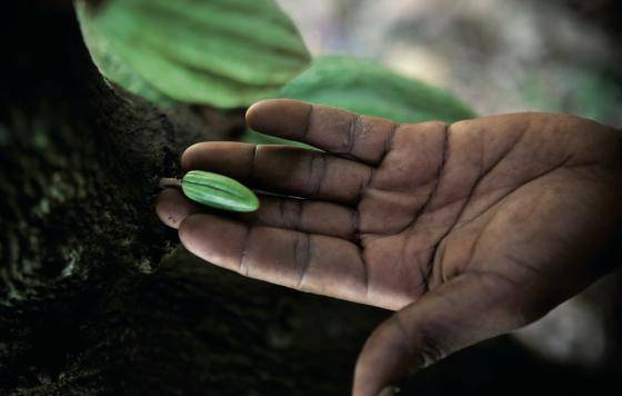 Targeting Sustainability 